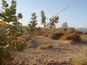 Le Mont Iharen (El Hoggar)