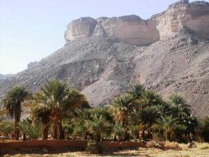 Jardin AJLA BOUDJEMAA ARAK