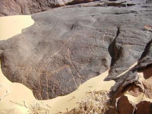 Gravures rupestres sur les roches de Youf Ahakit