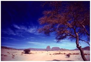 Dans la région du Hoggar