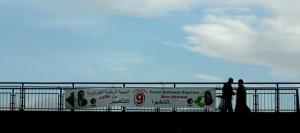 لوائح انتخابية في الجزائر