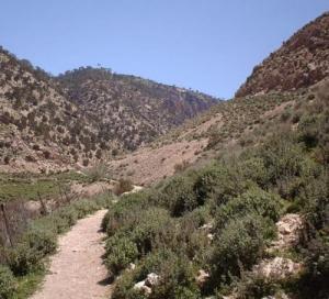 Paysage dans al commune de Hammamet (Wilaya de Tebessa) Algerie
