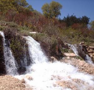 Paysage de Youkous-Tebessa