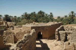 Les Vestiges de l'Ancienne ville Romaine de Negrine
