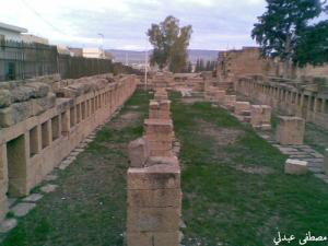 Colonnades de la basilique Romaine de Tébéssa