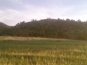 Paysage de Tébéssa