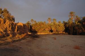 Coucher de soleil à Negrine