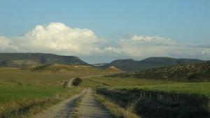 Route du Barrage de Tébéssa