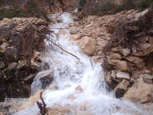 Les sources Youkous (Commune de Hammamet)