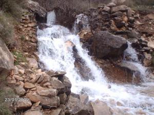 Les sources de Youkous (Commune de Hammamet / Wilaya de Tébéssa)