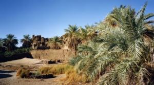 Le Ksar du Djado (abandonné au 17éme siecle)