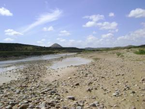 Un Oued près de Tébéssa