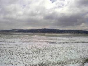 Périphérie de Tébéssa sous la neige