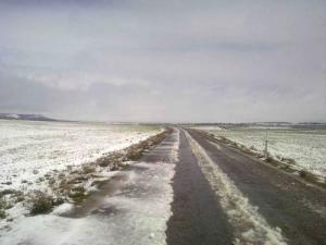 Route de Tébéssa sous la neige