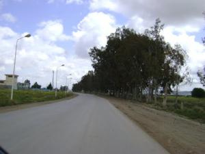 Autoroute sur la périphérie de Tébéssa