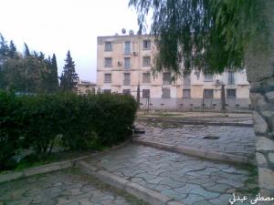 Quartier du  Cheikh Larbi Tebessi