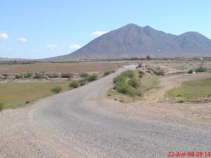 Route sur la périphérie de Tébéssa