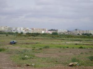 Aux abords de la ville de Tébéssa