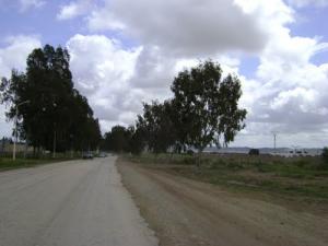 Autoroute sur la périphérie de Tébéssa