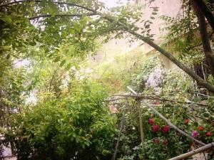 Un Jardin de Bir El Ater