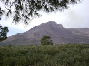 Un Sommet de Tébéssa