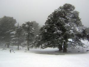 Paysage de Aine Antar