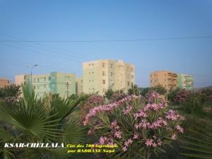 Ksar Chellala (Wilaya de Tiaret)