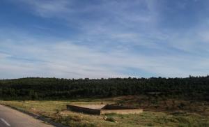 Forêt du Guezoul (périphérie de Tiaret)