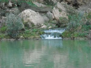 Cours d'eau aux alentours de Tiaret