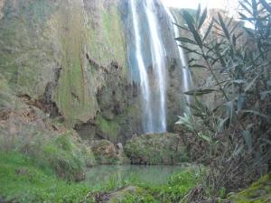 Cascades aux alentours de Tiaret