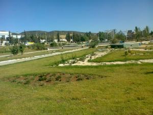 Centre ville de Tiaret