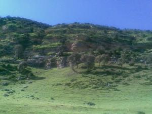 Paysage de Guertofa (Wilaya de Tiaret)