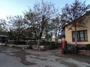 Jumenterie de Tiaret