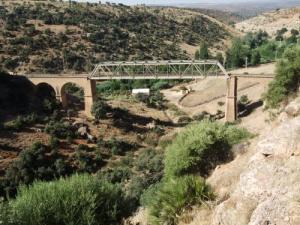 Pont ferroviaire de Tiaret