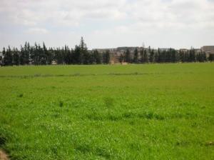 Sougueur vue de l'Extérieur