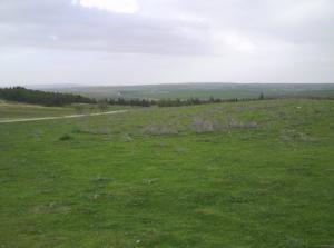 Verdure à Sidi Abed