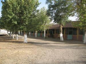 Tiaret le Centre Equestre 2008