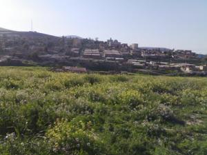 A l'Est de Oued Lili