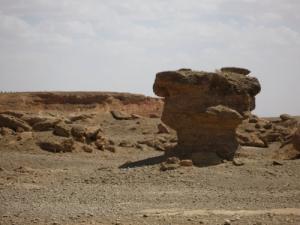 Nature morte à Sebaine