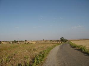 Fermes environnantes de Tiaret