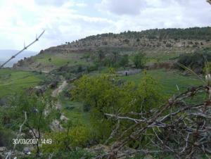 Paysage de Tiaret
