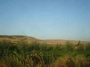 Verdure de Tiaret au Printemps