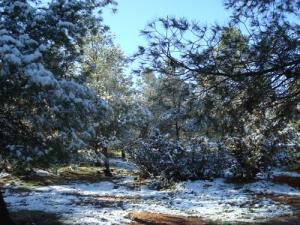 Au Nord du village de Zaouine
