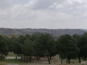 Vue Générale sur une petite forêt