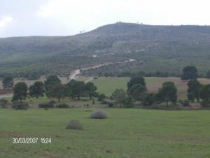 Paysage de Tiaret