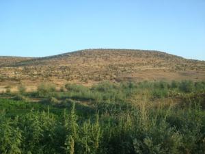 Djebel Boumia aux alentours de Tiaret