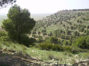 A l'Ouest de Sidi Abed