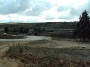 Route Nationale 14 (Tiaret)