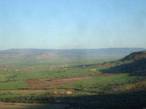 Champs agricoles aux abords de Tiaret