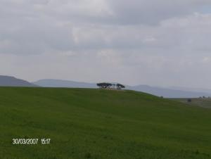 Verdure sur la périphérie de Tiaret